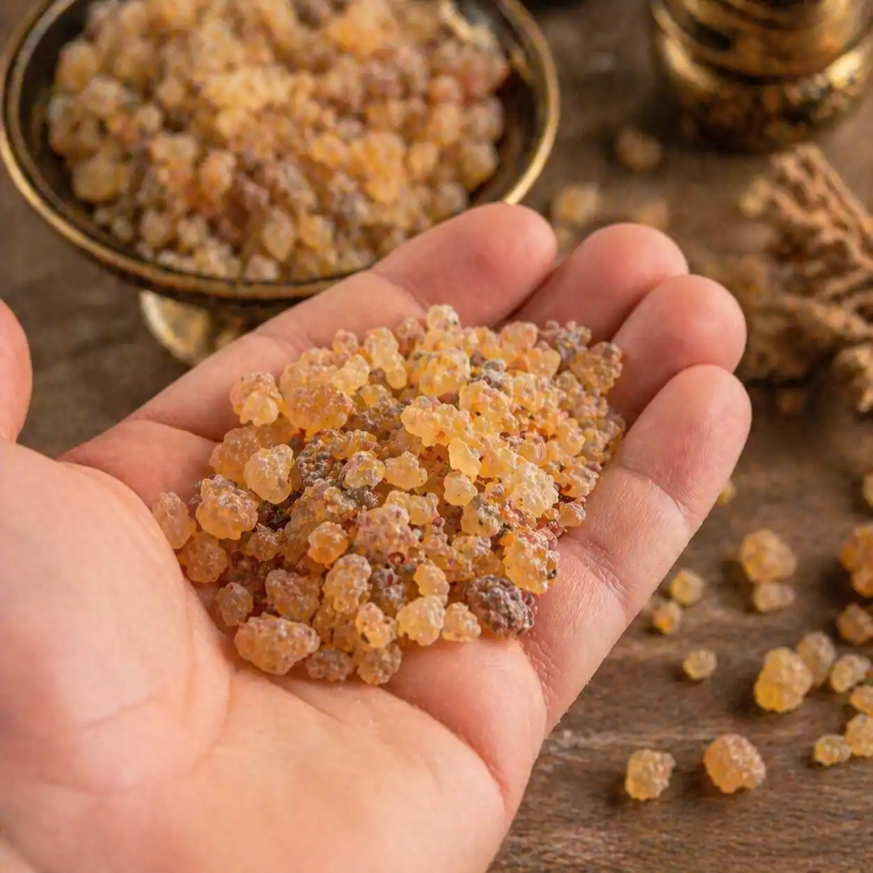 main tenant des grains d encens benjoin naturel de qualité pour fumigation