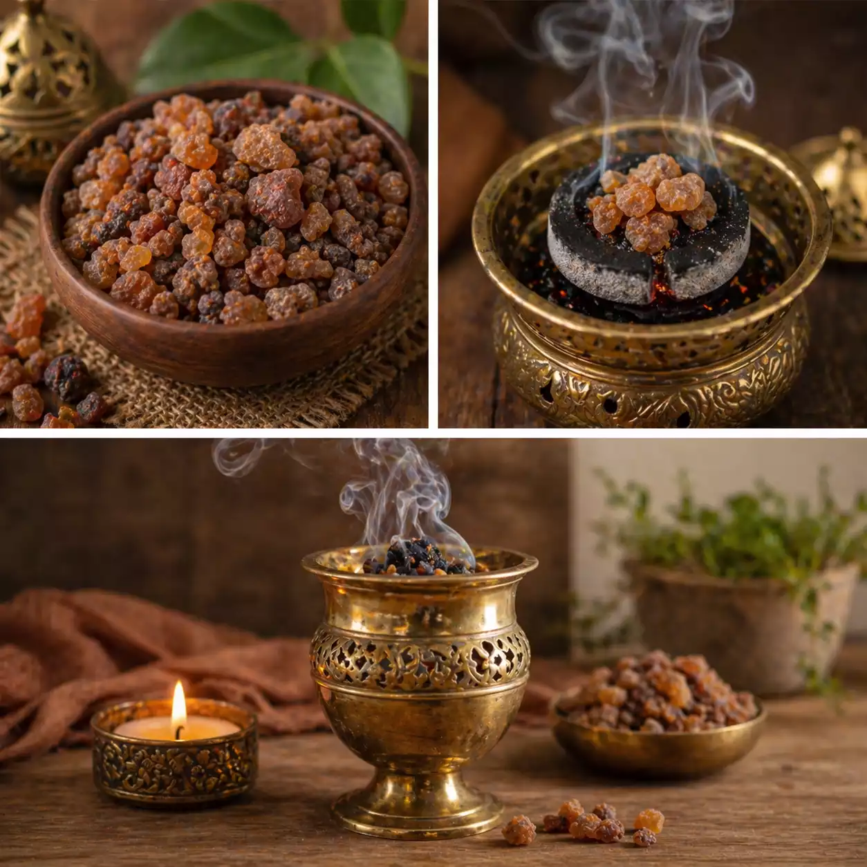 comment utiliser la myrrhe en grains sur charbon ardent dans un encensoir