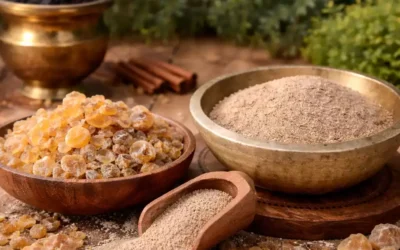 Encens Oliban en Grain et en Poudre : Guide complet