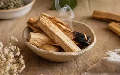 Palo Santo : origine, utilisation et rituel de purification