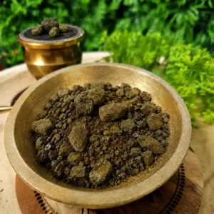 Encens d’aloès en grains dans un bol doré avec charbon et fond végétal vert, ambiance boutique ésotérique.